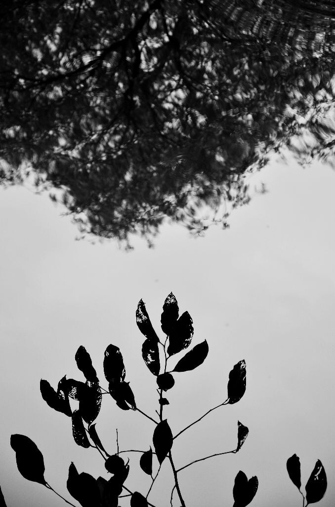 《对头》