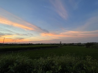 1876B3F7-4482-487D-967C-BB8E05617198/L0/001