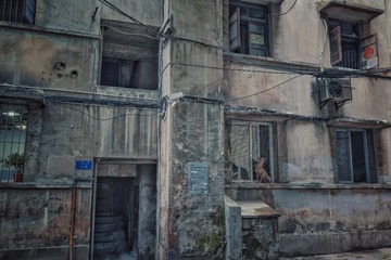 Snapseed(2)