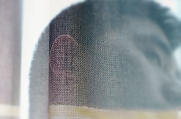 _IGP3169