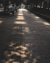 20140802-_0010720-编辑
