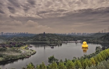 20141102-_DSC9317-编辑-编辑