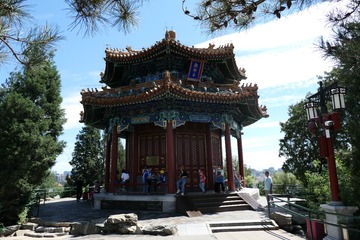 IMAG0051