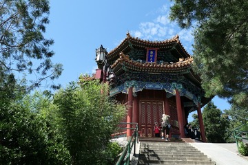 IMAG0119