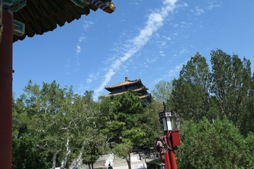 IMAG0494