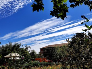 IMAG0539