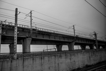_DSC1569