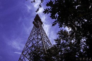 _DSC0830