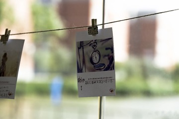 _DSC0454