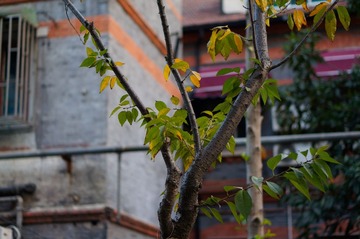 08