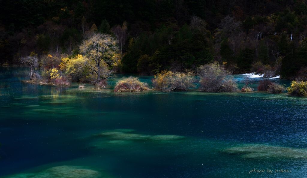 岁月如约而至,你却拂水尘烟。<br />
<br />
记忆的温度<br />
夜 起风了<br />
努力收集 那些<br />
与你有关的 记忆的温度<br />
你 不经意飘过的回眸<br />
如竹影扫阶的尘印<br />
在心间留下 彩绘的冰弦<br />
你 灵动逸隽的背影<br />
如跹戏寒潭的雁影<br />
在心河划过 潋滟的旖迹<br />
你 容俨若思的低头<br />
如滴落荷蕊的晨露<br />
在心中刻下 冰清的雕琢<br />
你 灿烂无忌的微笑<br />
如璨耀天际的星光<br />
在心涧画下 煜奕的烟霞<br />
世事若飞鸟 来去皆空寂<br />
越过那条陌堑<br />
你没有 我也没有<br />
人生如幻影 人心自婆娑<br />
走过那片桃源<br />
你在 我也在<br />
心若不动 万物皆静<br />
心若动<br />
童话的花园 绚熠成记忆的温度