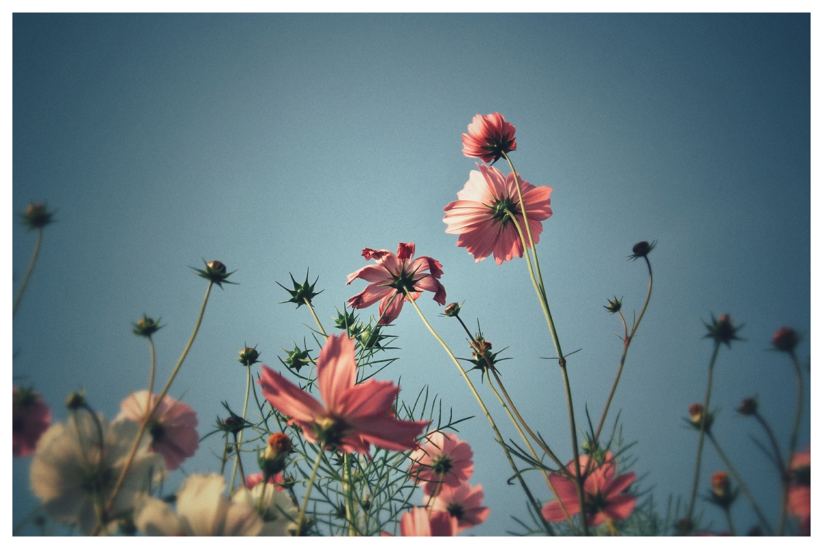 相由心生境随心转