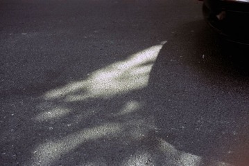 IMG-5000-42142-135