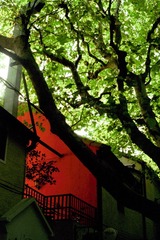 IMG-5000-42154-135