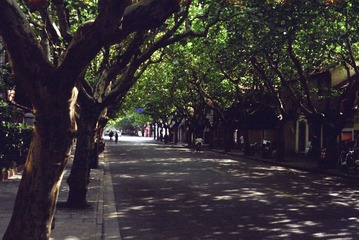 IMG-5000-42120-135