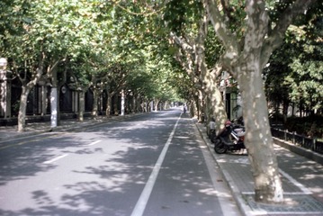 IMG-5000-42131-135