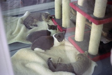 IMG-5000-42135-135