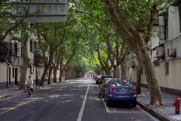 IMG-5000-42137-135