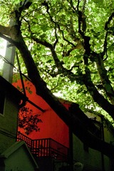 IMG-5000-42154-135