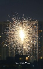 _DSF246888
