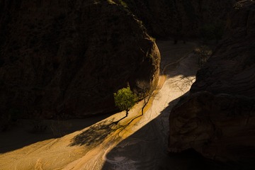 _DSC0460