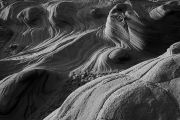 _DSC0529