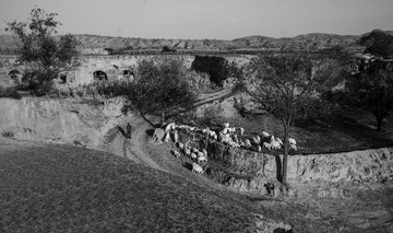 _DSC0505
