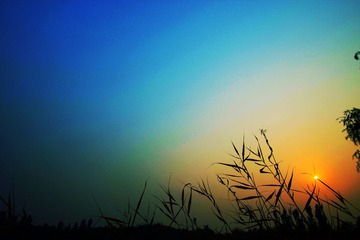 IMG_2533_