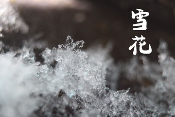 IMG_3564_ - 