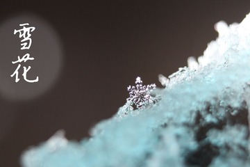 IMG_3568_ - 