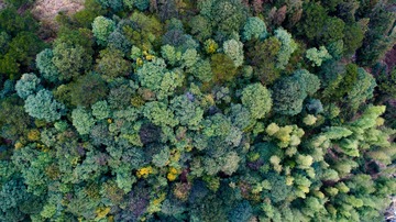 DJI_0617