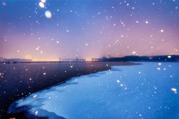 DSD_138793