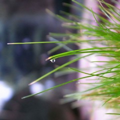 R0014046.JPG