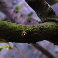 R0014050.JPG