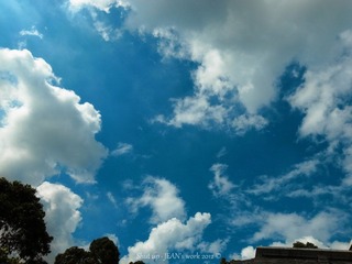 R0042129.jpg