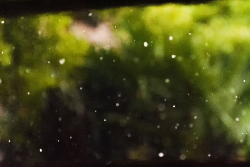这张左上有个雪花是心形的嘿嘿