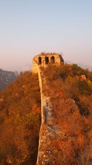PA205493