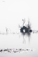 DSC09596-1