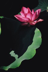 001