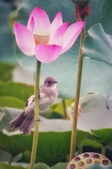001