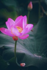 001