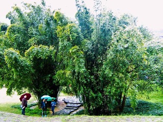 DSCF0598_HZP