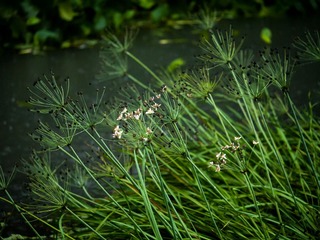 P1000936