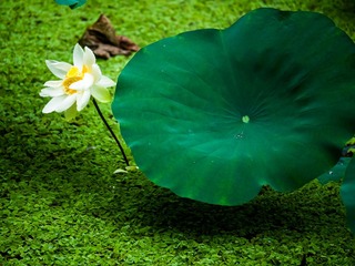 P1000944