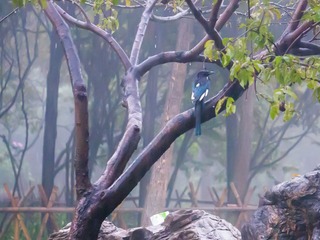 P1000940