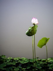 P1000511