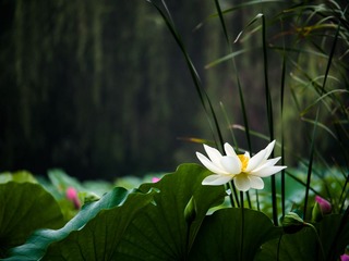 P1000582