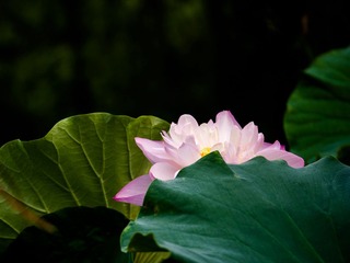 P1000586