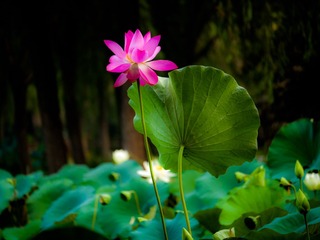 P1000707