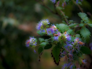 P1000959